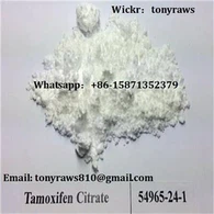 Tamoxifen citrat Nolvadex Anti Estrogen steroizi Raw Pulbere cancer de sân Tratamentul