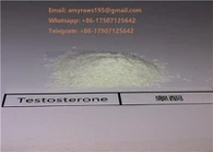 Pulberea steroidului bazei de testosteron brut