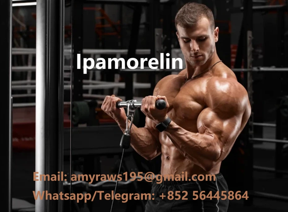 product-931-684 product-931-684